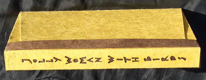 Wild Things
Song by
San Cisco